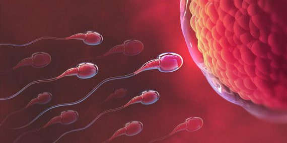 Kan man blive gravid, når man har menstruation?